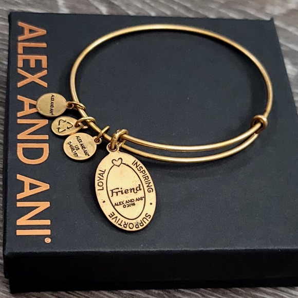Alex and Ani Because I Love You Friend II Charm Bracelet - Picture 9 of 13